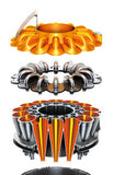 Dyson DC39 Canister